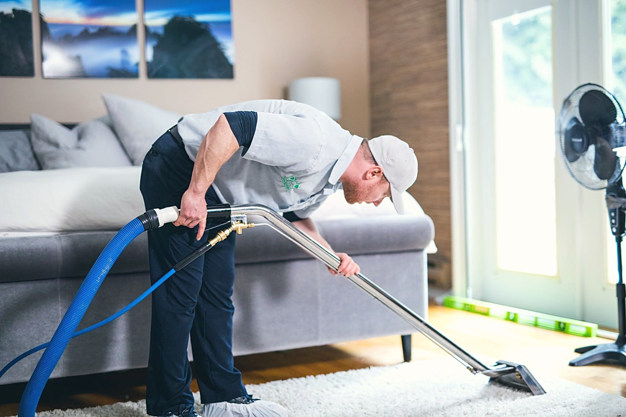 Dazzle technician cleaning a living-room carpet next to the sofa