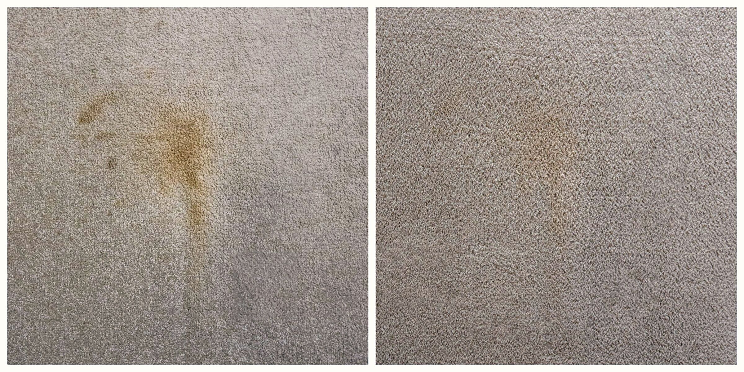 Carpet stain before and after spot cleaning