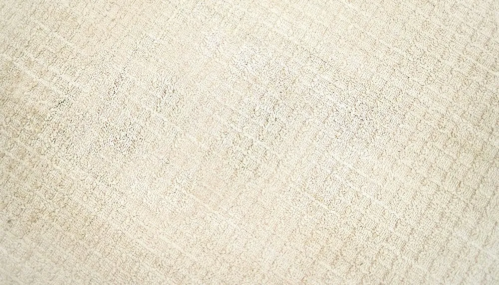 The same carpet after a Dazzle clean